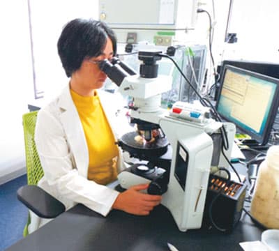 アスベスト分析について